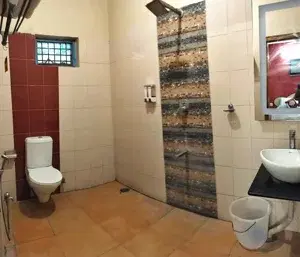 Executive Suite room non Ac