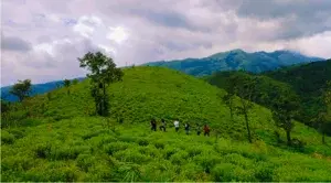 Kudremukh - 360 Degree View Camp   photo 5