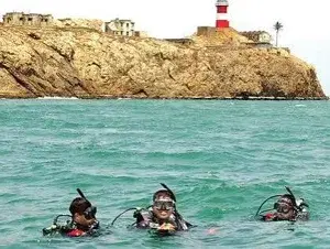 NORMAL PACKAGE — WITH DOLPHIN WATCHING   photo 5
