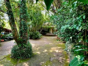 THE SUMMER VILLA HOMESTAY   photo 2