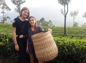 Tea Trial Program(sightseeing)   photo 2