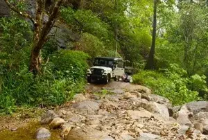  Wayanad Trekking Resort Pakage   photo 2