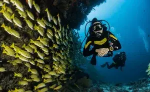 SCUBA DIVING AT GRAND ISLAND   photo 4
