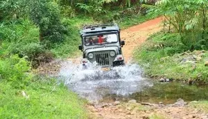 Jeep safari   photo 2