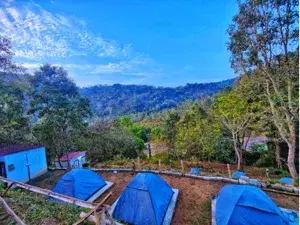 Marayoor Camp - Munnar   photo 5