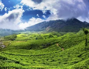 SOUTH INDIA TOUR PACKAGE   photo 4
