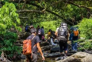 Dudhsagar Waterfall Trekking   photo 2