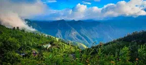 KERALA 5 Nights / 6 Days Itinerary   photo 4