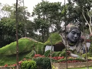 Mysuru – Chikmagalur Package From Chennai By Train   photo 4