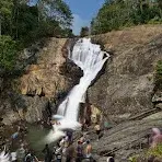 CALICUT WAYANAD PACKAGE   photo 3
