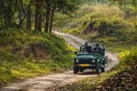 JEEP SAFARI   photo 4