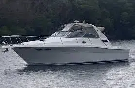 Searay 330 (Small Yachts)     photo 1