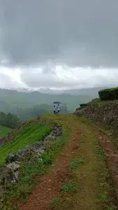 Meeshapulimala Trek   photo 3