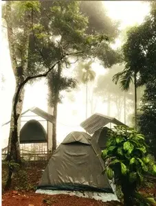 CAMP TOP MUNNAR   photo 1