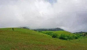 SOUTH INDIA TOUR PACKAGE   photo 2