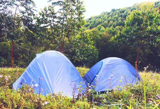 ROAMRUSTIC CAMP VATTAVADA   photo 3