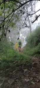 Meeshapulimala Trek   photo 1
