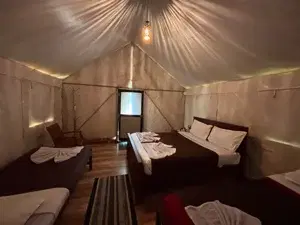gavi safai stay program(misty heaven jungle loadge)   photo 3