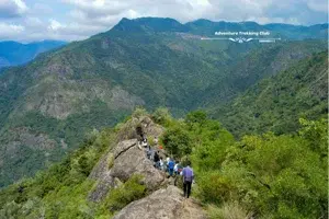 Kottagiri Camp - Ooty   photo 4