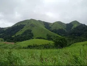 gavi safai stay program(misty heaven jungle loadge)