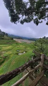 Tea trails program   photo 3