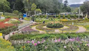 KODAIKANAL THEKKADY MUNNAR PACKAGE   photo 5