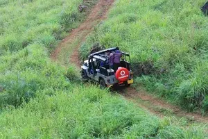 Gavi  jeep safari full day program   photo 2