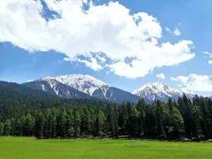 SRINAGAR_PAHALGAM_GULMURG_SONMARG(3 STAR)  per cuple