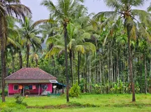 Didupe Village Camp   photo 2