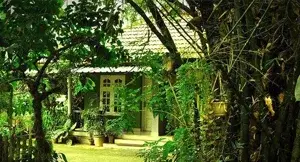THE SUMMER VILLA HOMESTAY   photo 1