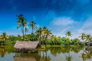 6-Days best of kerala tour   photo 4