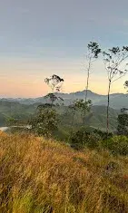 Chokramudi Hike (Sunrise)   photo 1