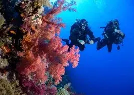 Fun dive