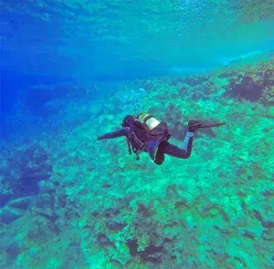 scuba Diving Experience   photo 1