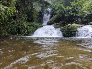  Anakulam Jeep Safari   photo 5