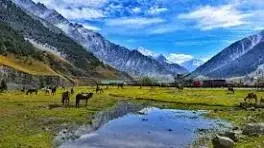 Srinagar+pahalgam_sonmarg(standard)   photo 5