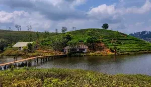 VAGAMON PACKAGE   photo 3
