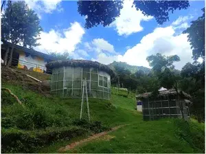 Tree House   photo 1