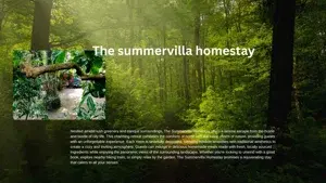 THE SUMMER VILLA HOMESTAY   photo 3