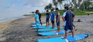 Single Surf Lesson   photo 5