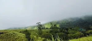 3TO 4 HOURS-SATHRAM OFF ROAD JEEP SAFARI   photo 1
