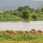 CALICUT WAYANAD PACKAGE   photo 2