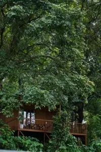 Traditional Cottage rooms   photo 3
