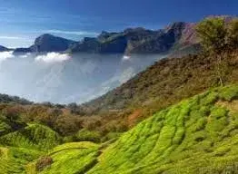  Munnar Kanthalloor Package