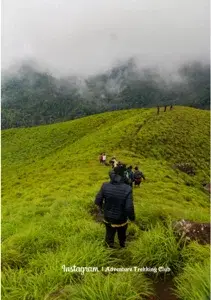 Wayanad - Aranamala Camp   photo 2