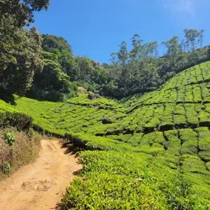 Midday Cruise with Village Life   photo 2