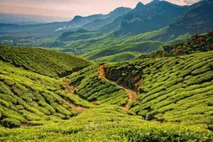 South India Tour Packages   photo 1