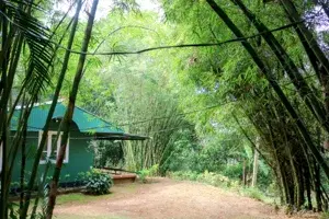 Eera - Full Cottage 