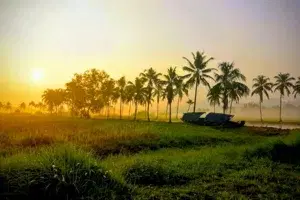 Full day Cruise with Village Life and Local Food   photo 1