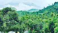 WAYANAD PACKAGE KALPETTA PICK UP   photo 2